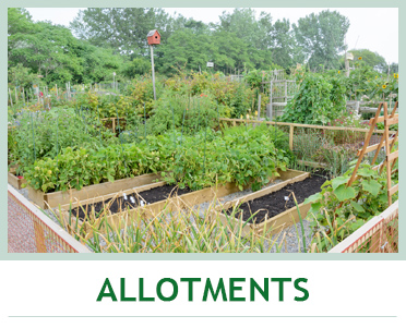 Allotments