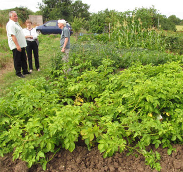 Gravel Lane Allotments