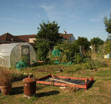 Limes Farm Allotments