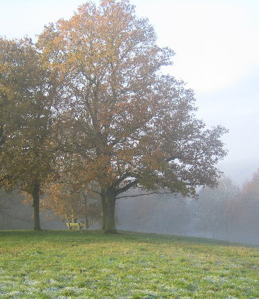 Epping Forest