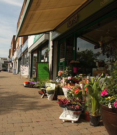 Brook Parade